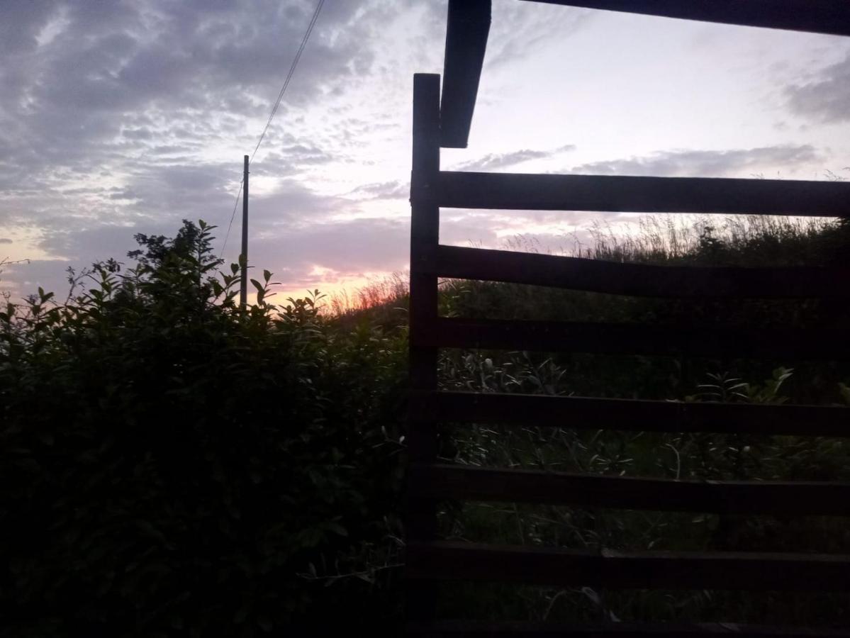 Murazzano  La Tana Dello Scoiattolo - Adults Only Bed & Breakfast エクステリア 写真