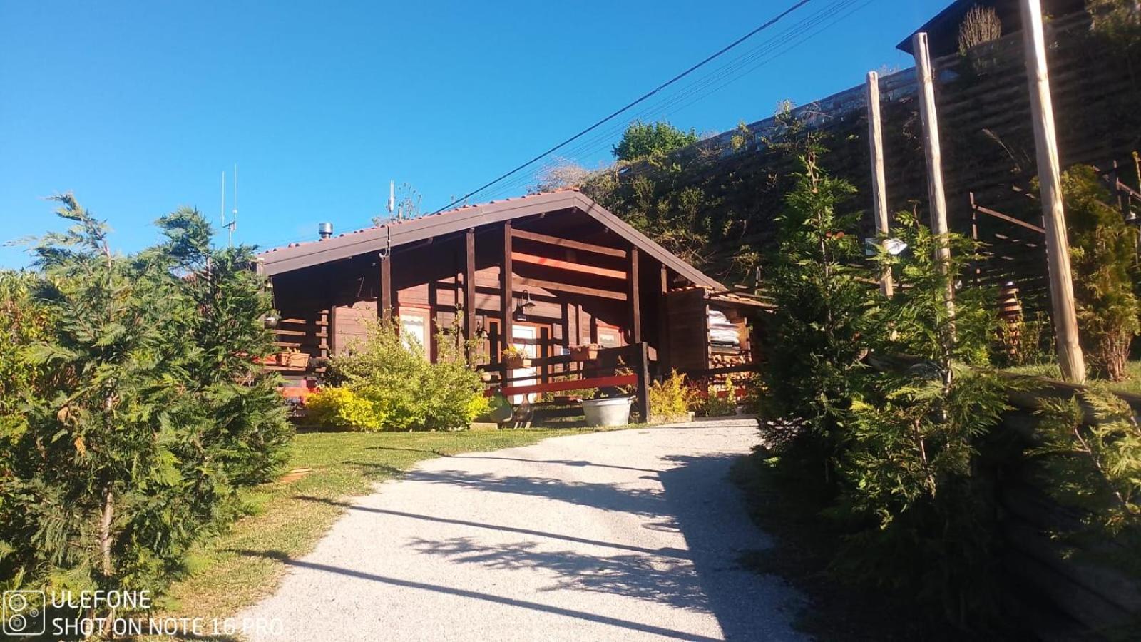 Murazzano  La Tana Dello Scoiattolo - Adults Only Bed & Breakfast エクステリア 写真